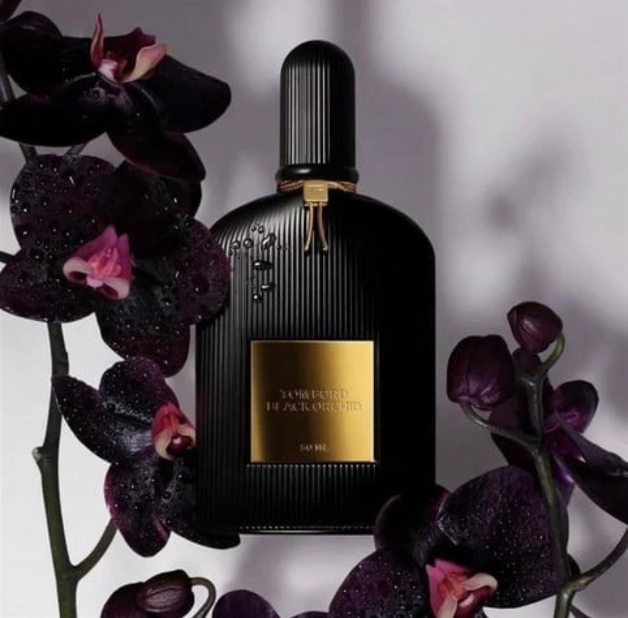 Black Orchid perfume by tom ford for women