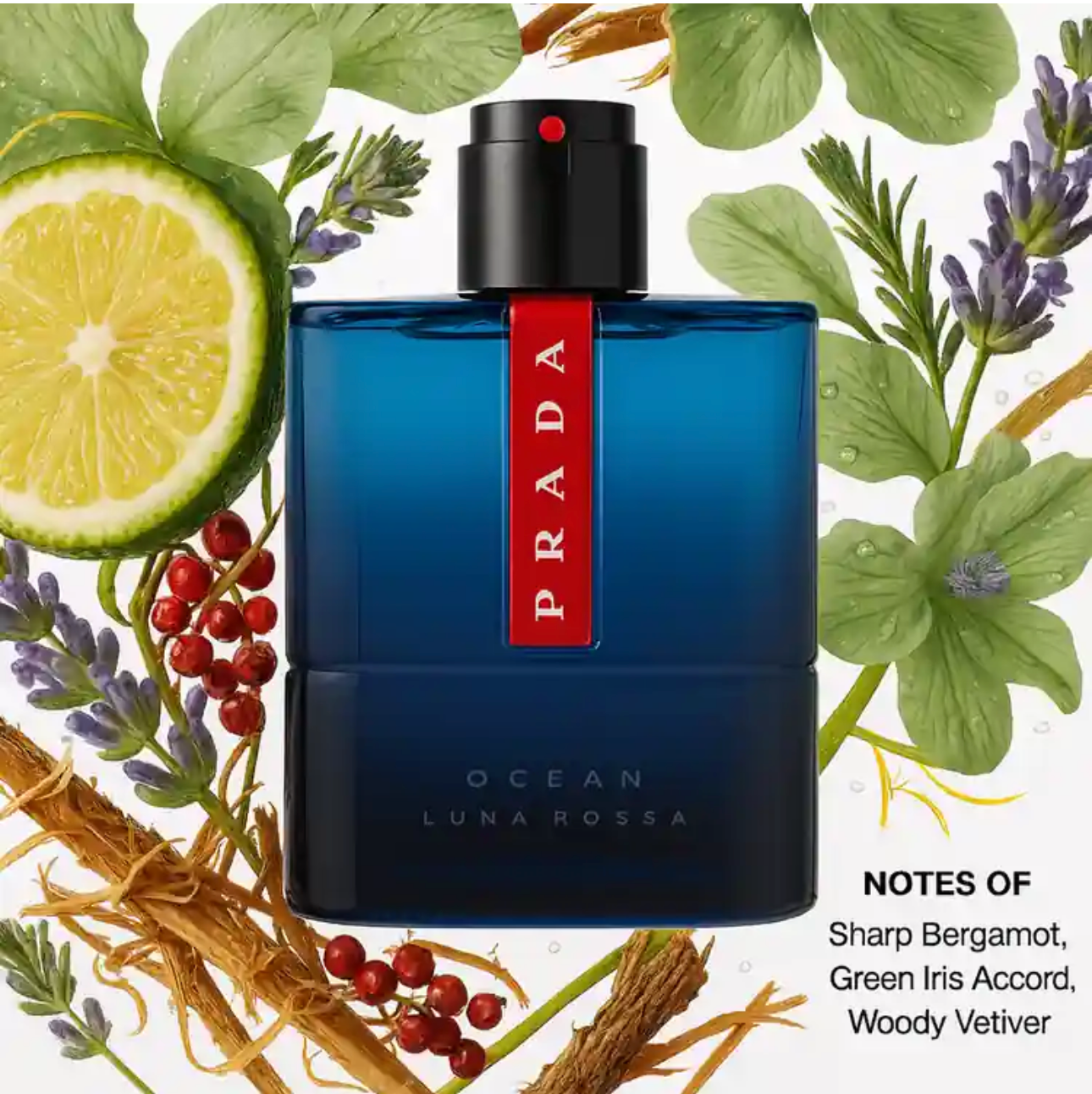 Prada Luna Rossa Ocean Cologne By Prada For Men
