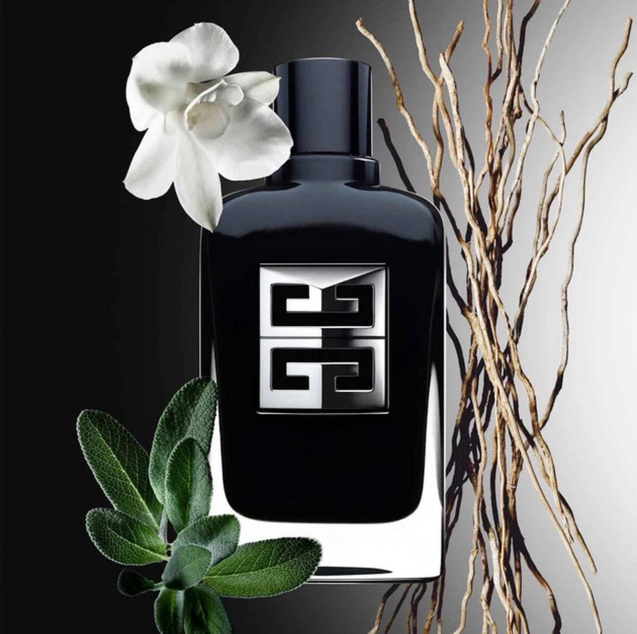 Gentlemen Society Cologne by Givenchy for Men