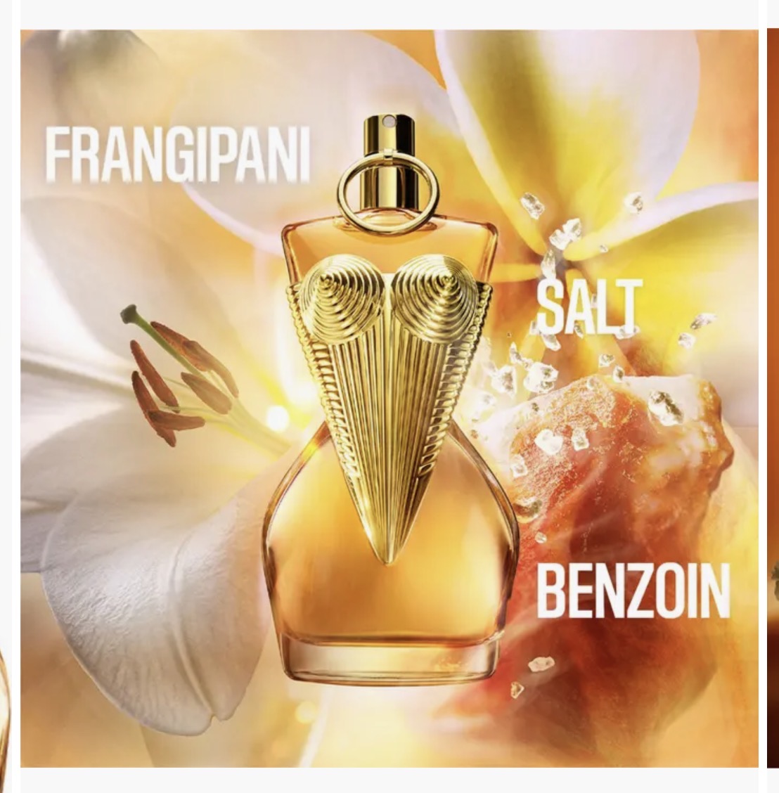 Gaultier Divine Le Parfum Jean Paul Gaultier