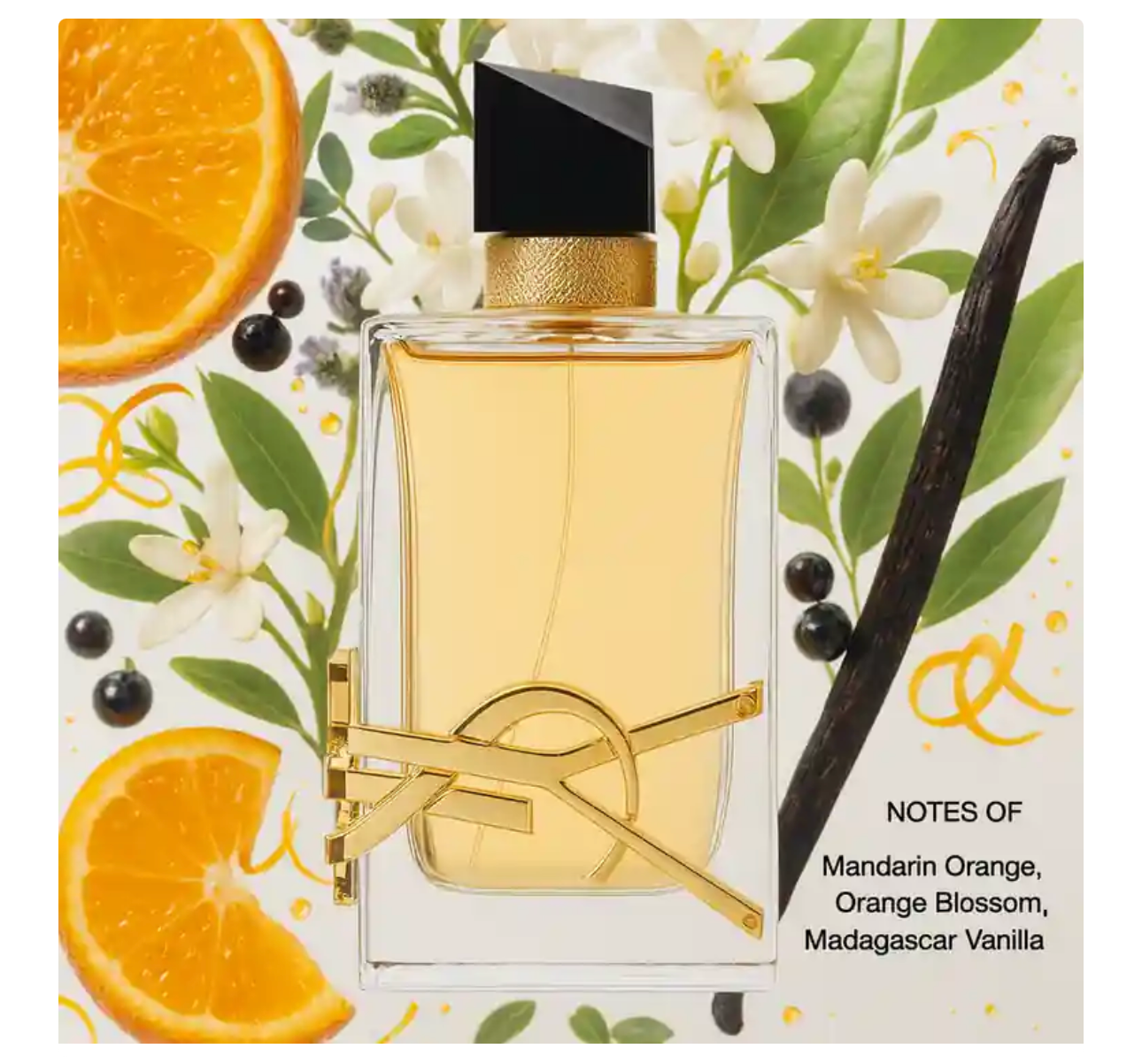 Libre Perfume By Yves Saint Laurent for Women